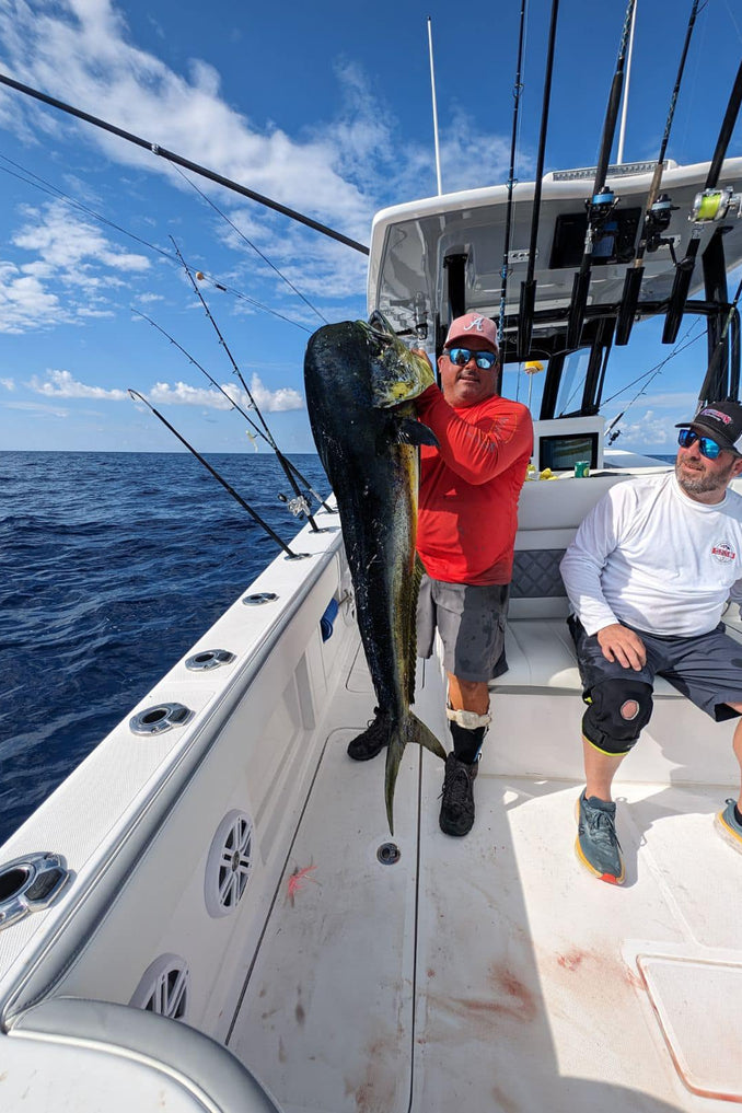 Gallery – Exploding Fish International